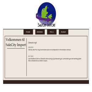 SaleCity Import
